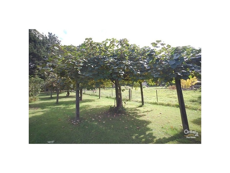Colo Vale NSW 2575