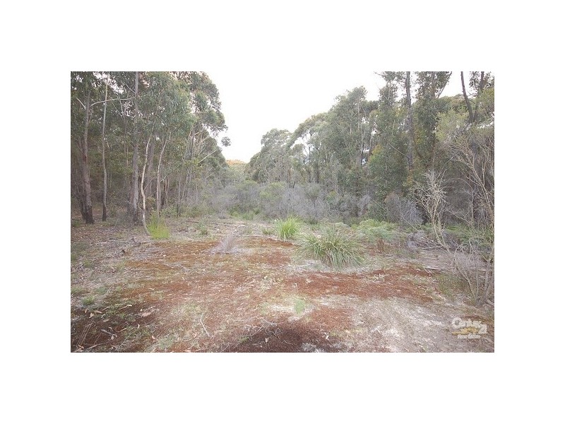 Colo Vale NSW 2575