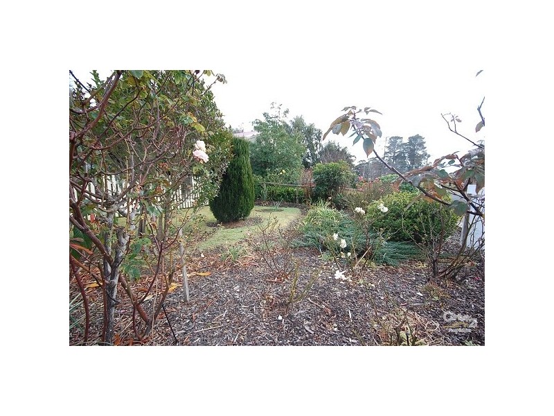 Colo Vale NSW 2575