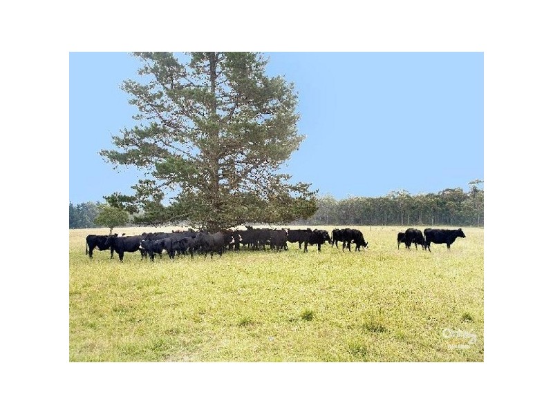 Carrington Falls NSW 2577