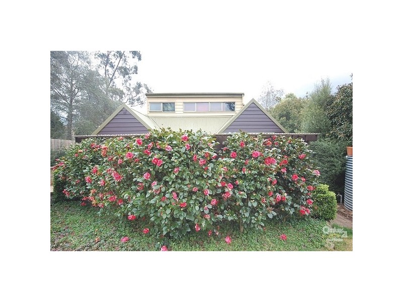 Willow Vale NSW 2575