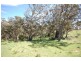 Lot 107 Langs Road, Wombeyan Caves NSW 2580