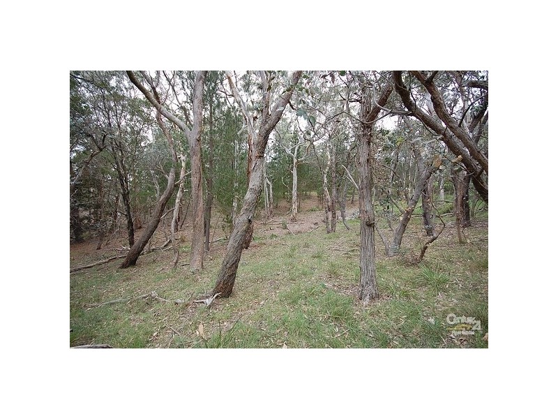 Lot 16 Hume Highway, Paddys River NSW 2577