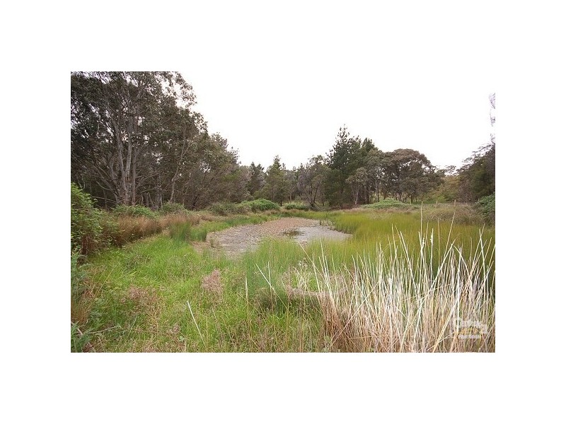 Lot 16 Hume Highway, Paddys River NSW 2577