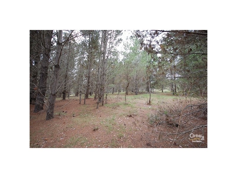 Lot 16 Hume Highway, Paddys River NSW 2577