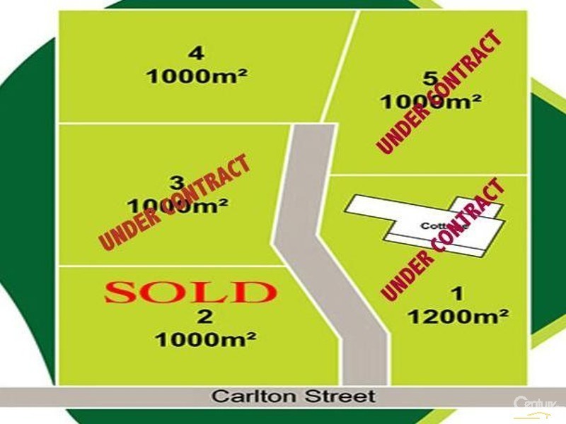 3 Carlton Street, Willow Vale NSW 2575