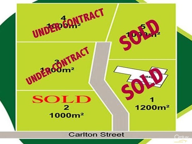 3 Carlton Street, Willow Vale NSW 2575