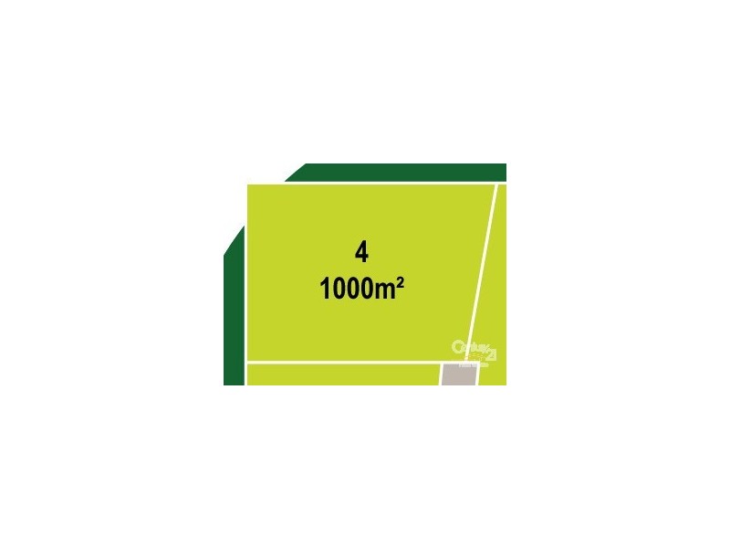 4 Carlton Street, Willow Vale NSW 2575