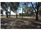Colo Vale NSW 2575