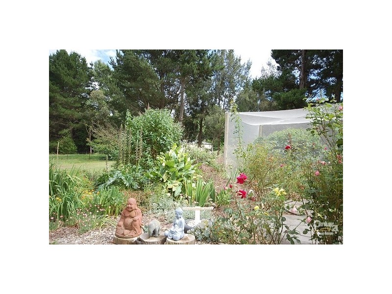 28 Beech Street, Colo Vale NSW 2575