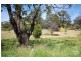 Colo Vale NSW 2575