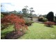 Willow Vale NSW 2575