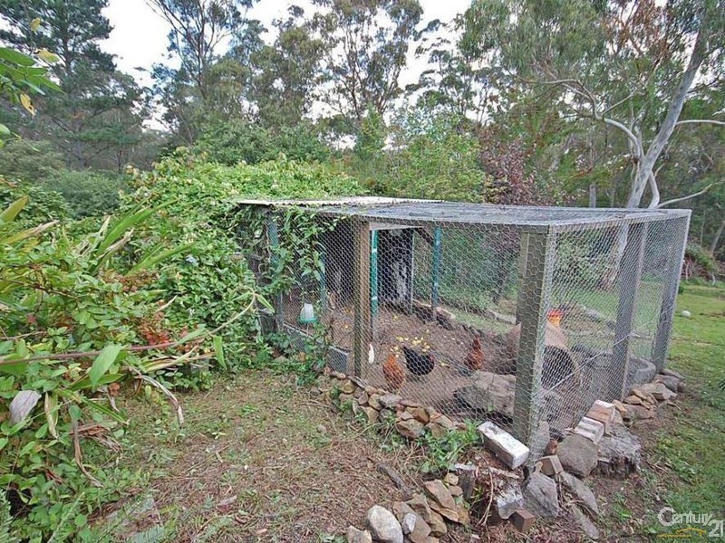 Hill Top NSW 2575