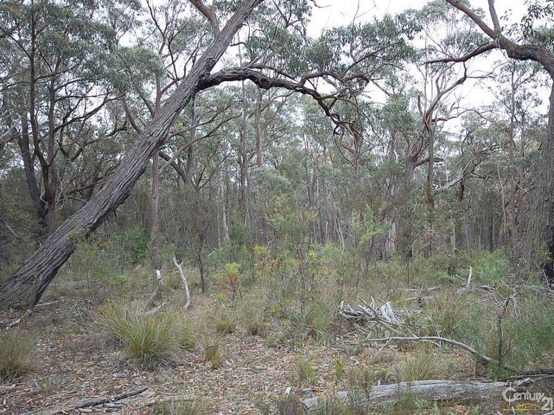 Sutton Forest NSW 2577