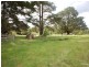 Hill Top NSW 2575