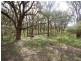 Hill Top NSW 2575