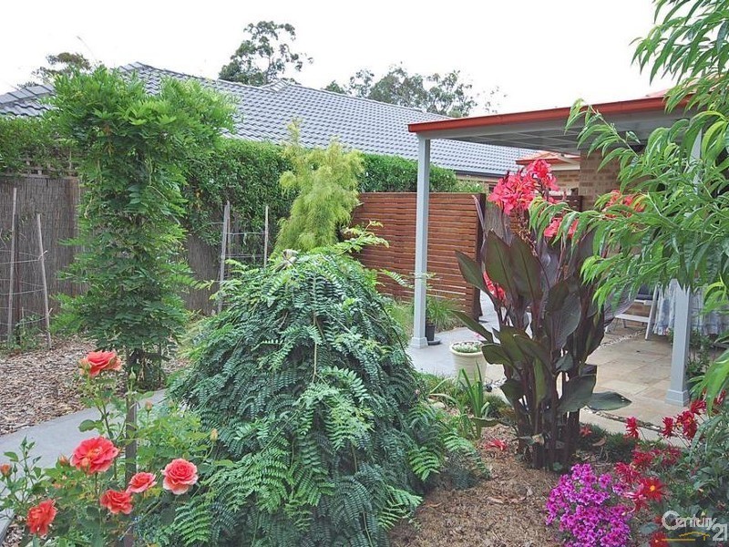 Braemar NSW 2575