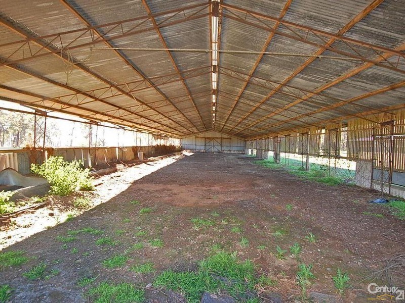 80 Estonian Road, Thirlmere NSW 2572