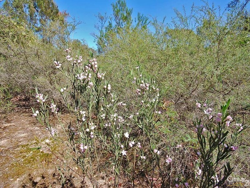 Lot 265 Kyber Road, Yerrinbool NSW 2575