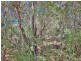 Lot 265 Kyber Road, Yerrinbool NSW 2575