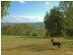 Wombeyan Caves NSW 2580