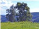 Wombeyan Caves NSW 2580