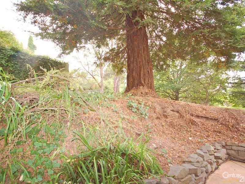 92  Shepherd Street, Bowral NSW 2576