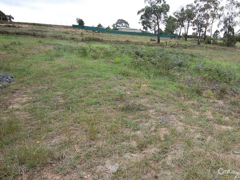 Willow  Street, Willow Vale NSW 2575