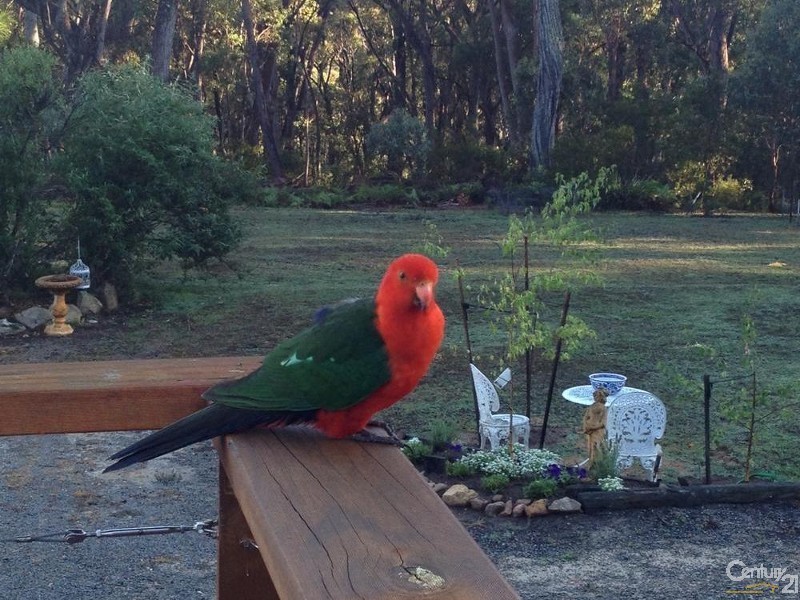 Canyonleigh NSW 2577