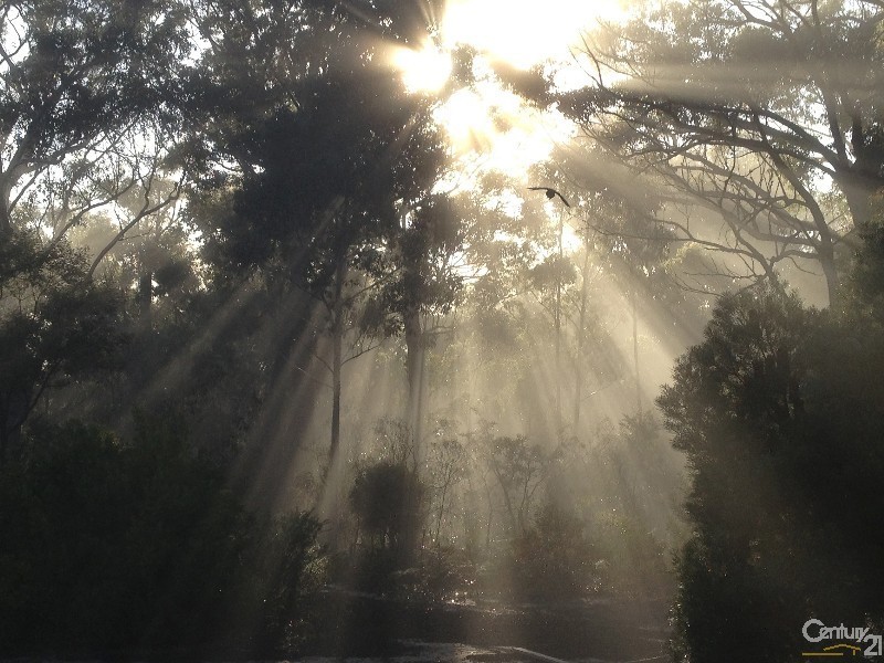 Canyonleigh NSW 2577