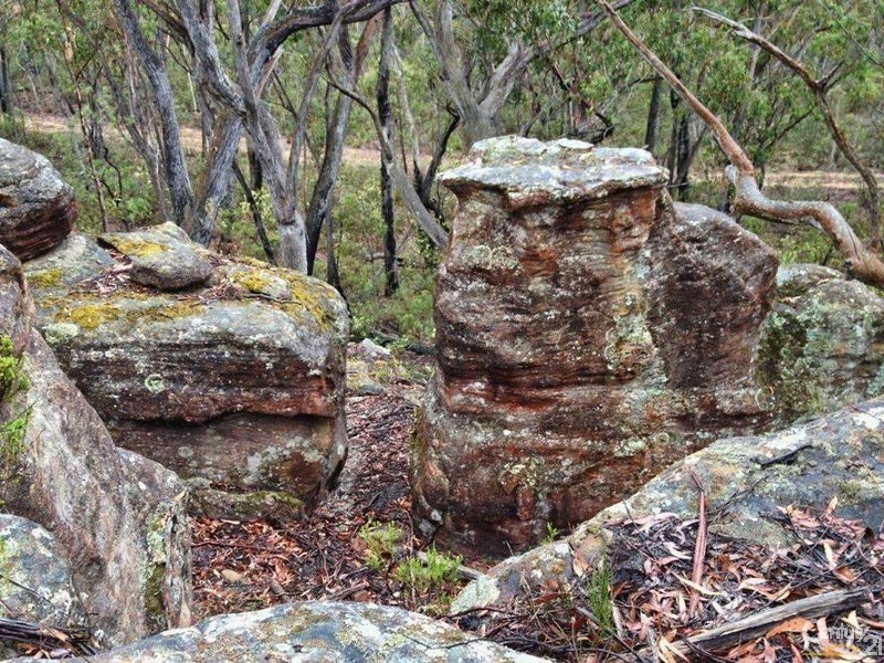 Canyonleigh NSW 2577