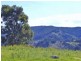 500 Lot 44 Rocklily Road, Wombeyan Caves NSW 2580
