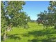 500 Lot 44 Rocklily Road, Wombeyan Caves NSW 2580