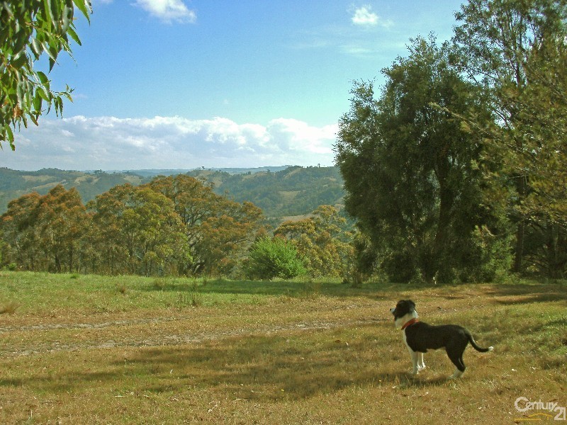 500 Lot 44 Rocklily Road, Wombeyan Caves NSW 2580