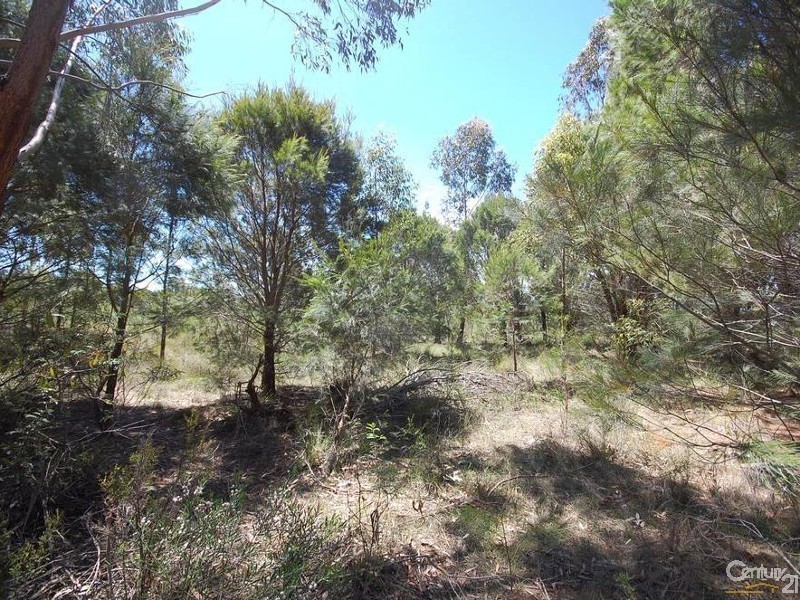 Lot 336 Waratah Street, Yerrinbool NSW 2575