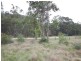 1710 Joadja Road, Joadja NSW 2575