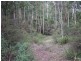 1710 Joadja Road, Joadja NSW 2575