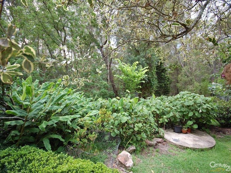 Hill Top NSW 2575