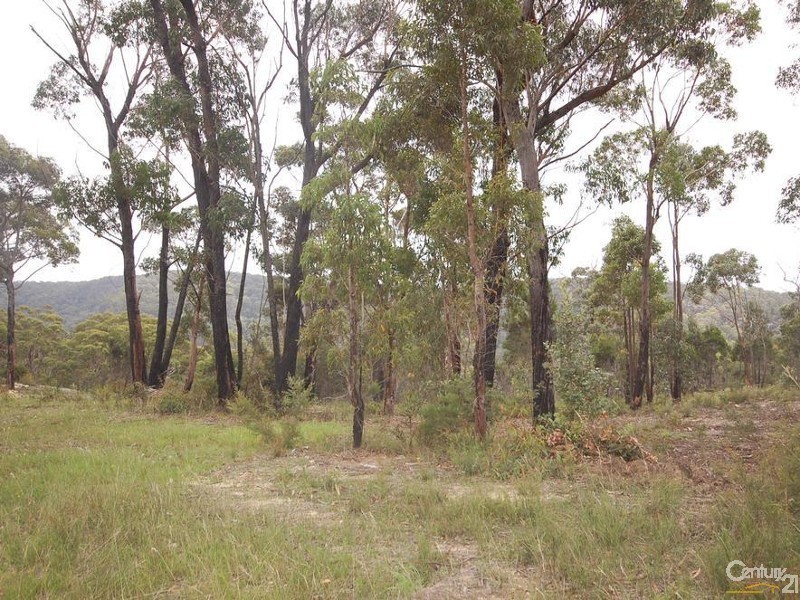 Lot 16 Badgery Street, Willow Vale NSW 2575