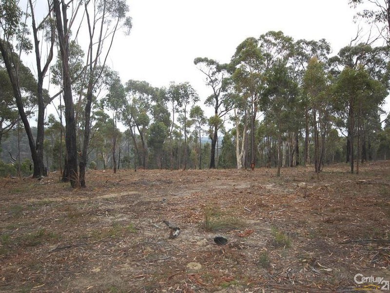 Willow Vale NSW 2575