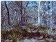 Taralga NSW 2580