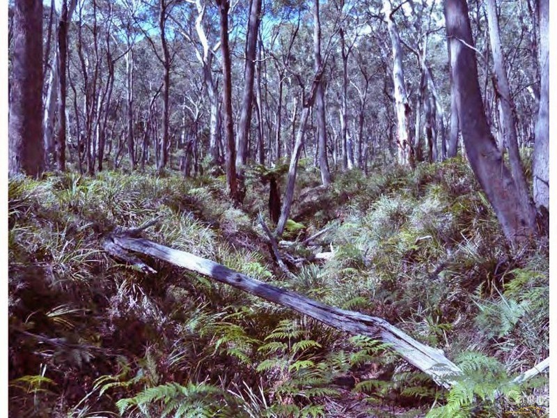 Taralga NSW 2580