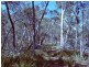 Taralga NSW 2580