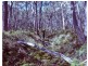 Taralga NSW 2580