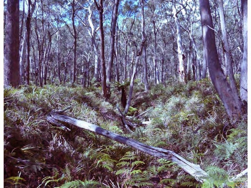 Taralga NSW 2580
