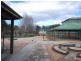 117 Old Hume Highway, Braemar NSW 2575