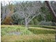 117 Old Hume Highway, Braemar NSW 2575