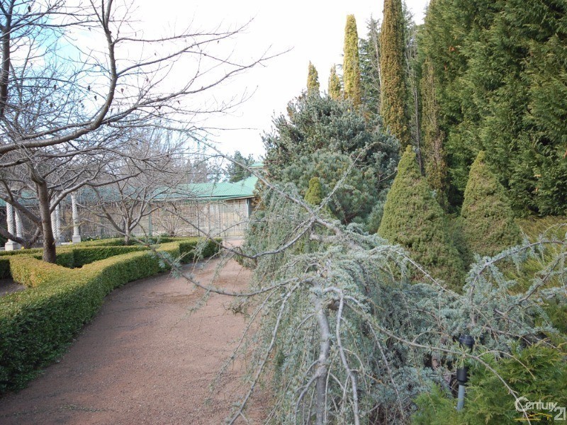117 Old Hume Highway, Braemar NSW 2575