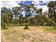 Willow Vale NSW 2575