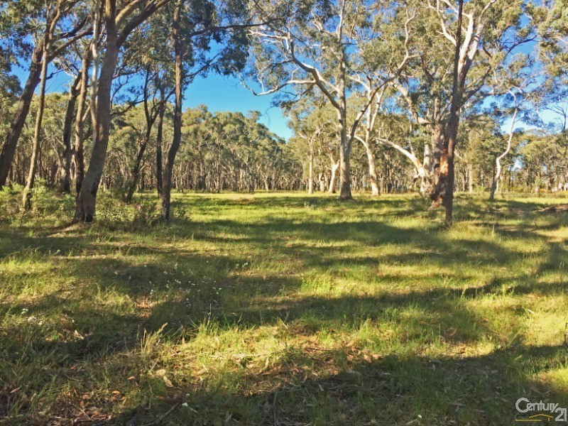 LOT 232 Colo Road, Colo Vale NSW 2575
